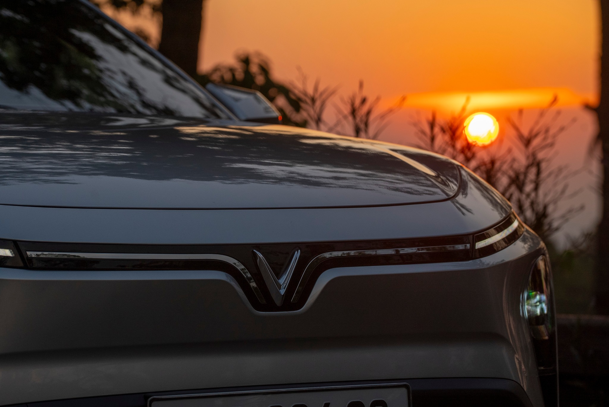 573504666 1136513922030194 948438971055043550 n